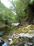 River Roy